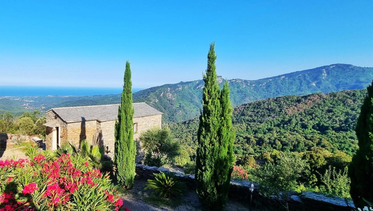 Domaine Colonna-Santini, Gite Piscine, Sauna, Spa Porri Exterior foto