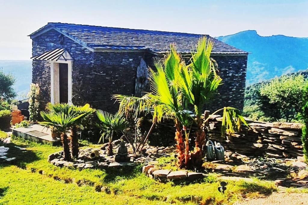 Domaine Colonna-Santini, Gite Piscine, Sauna, Spa Porri Exterior foto