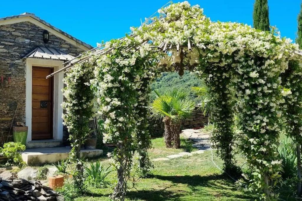 Domaine Colonna-Santini, Gite Piscine, Sauna, Spa Porri Exterior foto